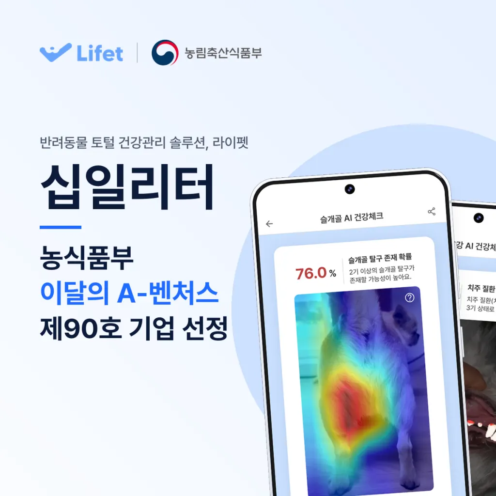 A pet owner photographs a small dog's leg with a smartphone while an AI app displays health analysis results.