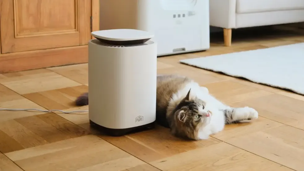 A cone-shaped floor-standing pet hair collector placed beside a sofa in a living room with a cat nearby.