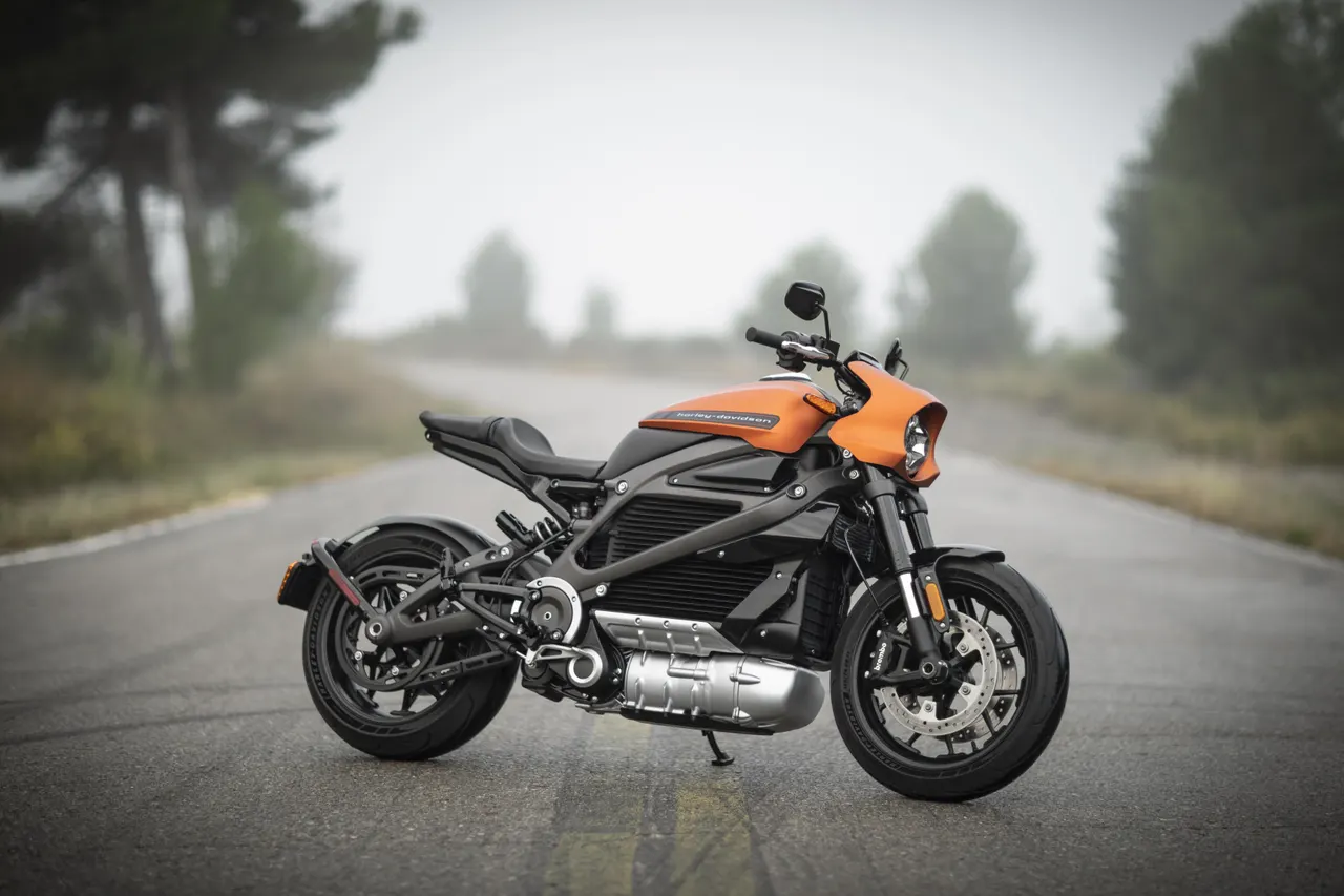 A LiveWire electric motorcycle from Harley-Davidson's electric brand parked on a road.